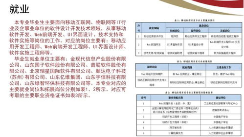 山東電子職業(yè)技術(shù)學(xué)院計算機(jī)與軟件工程系 計算機(jī)軟件技術(shù)服務(wù)專業(yè)簡介