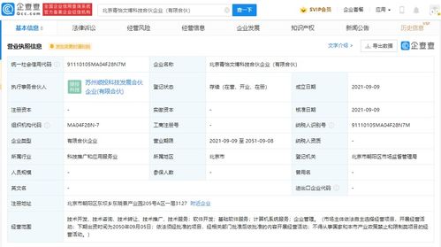 計算機軟件技術服務 驅動數字化轉型的核心力量